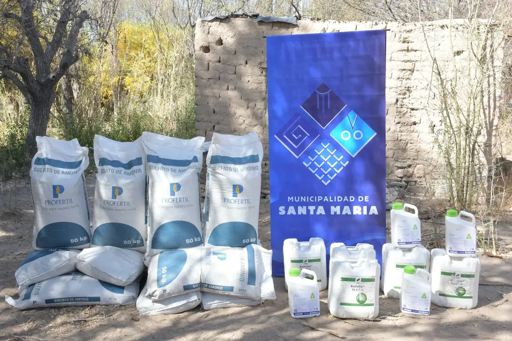 461193617_839976854976528_8763189255911298686_n