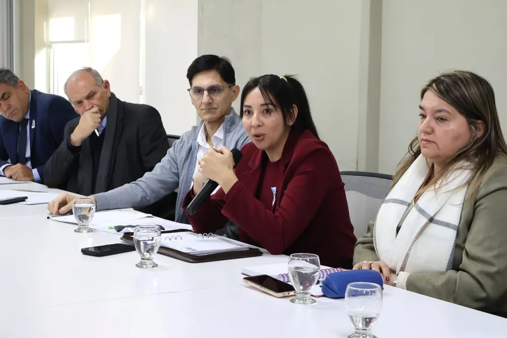 Ministros de Salud del Norte Grande acordaron acciones conjuntas para garantizar las prestaciones de Incluir Salud (1)
