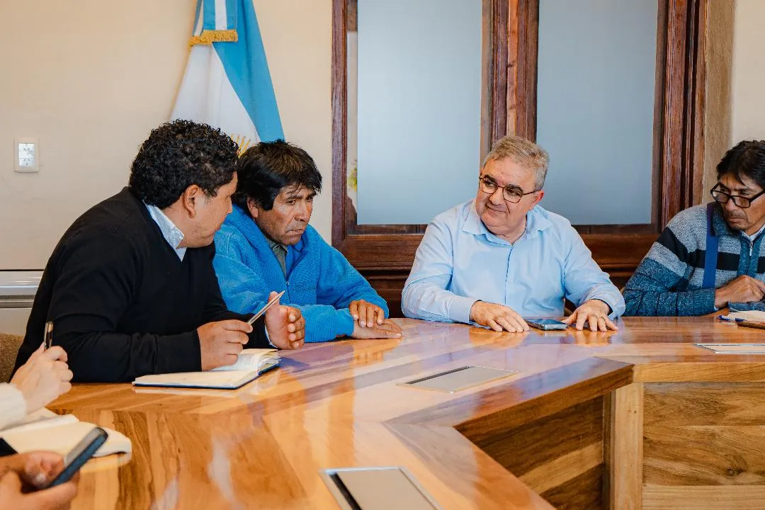 imagen_2025-06-28_145422027