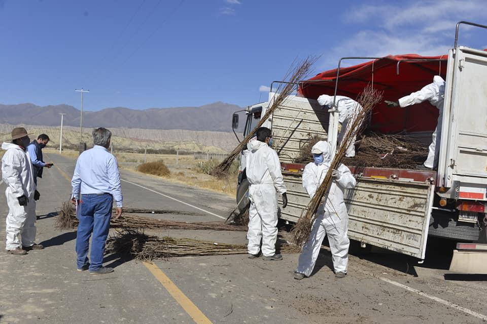 117757755_2633593706907686_5788431311194742493_n