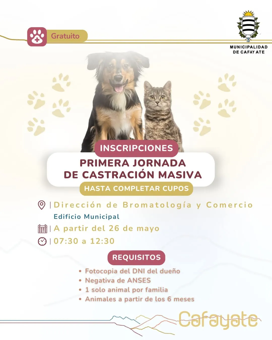 FB_IMG_1748267407240