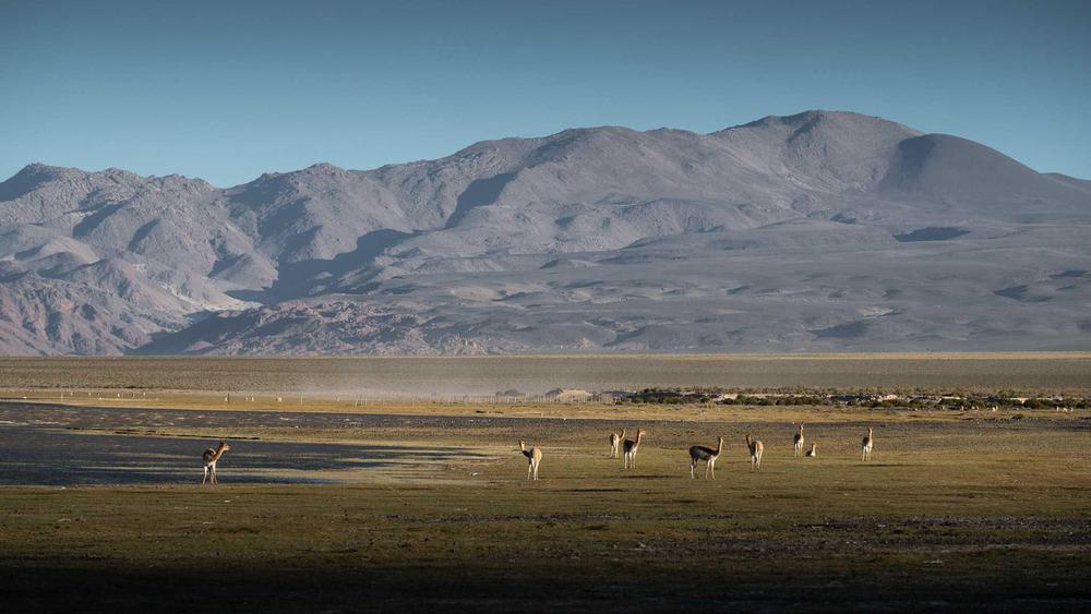 Laguna Blanca (1)