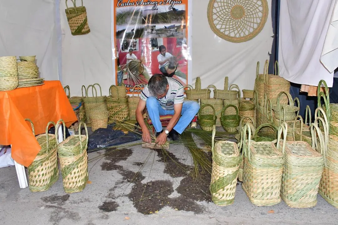 imagen_2025-01-24_182816992