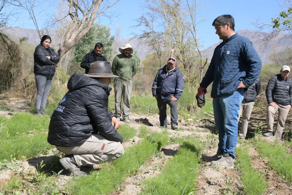 460980945_839976804976533_8142820804025519496_n