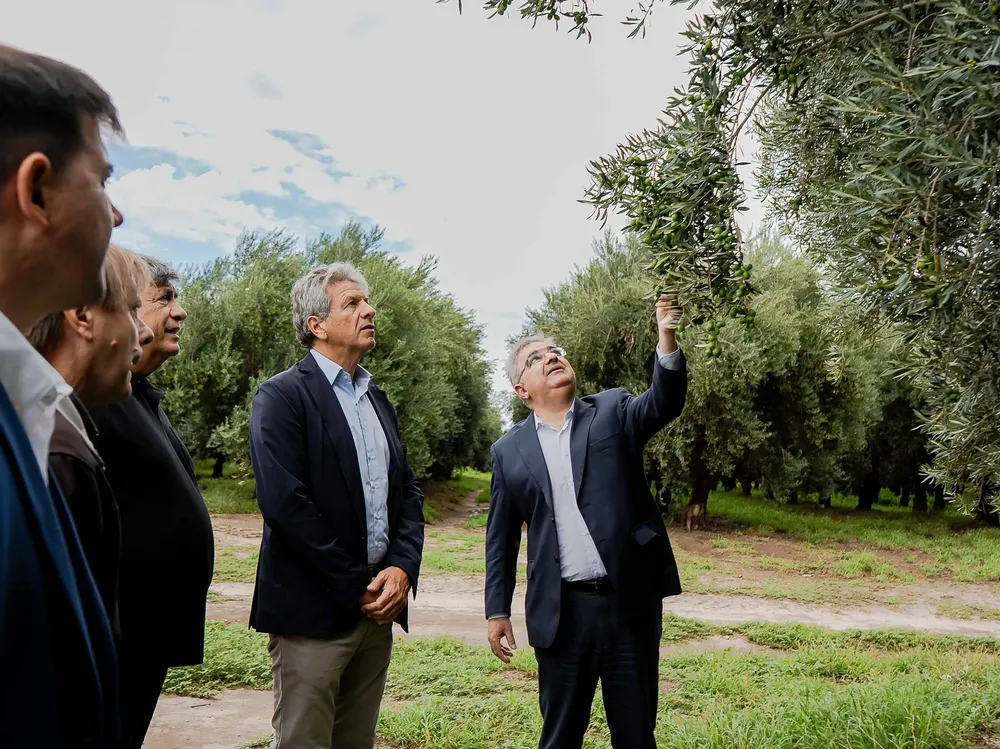 Catamarca fortalece su perfil exportador en trabajo conjunto con ARCA (3)-1