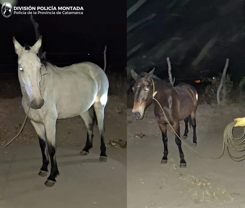 imagen_2025-05-16_164708952