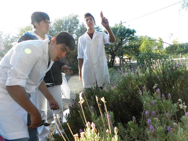 Esc Agrotecnica amaicha  cs (3)