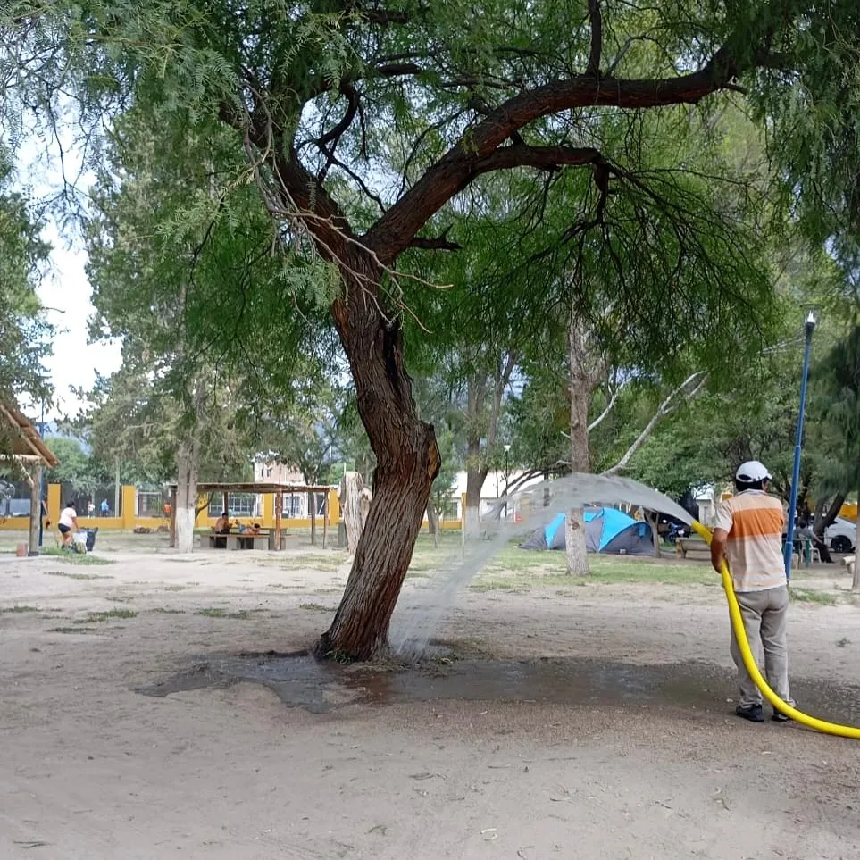 480447665_17899921119131367_6912679897646644601_n