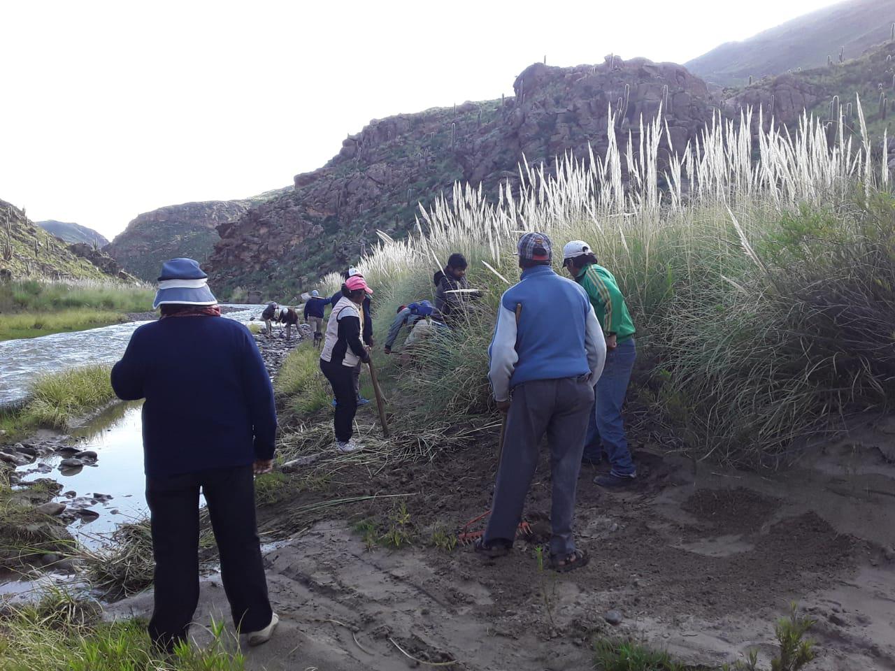 camino a ovejeria (1)