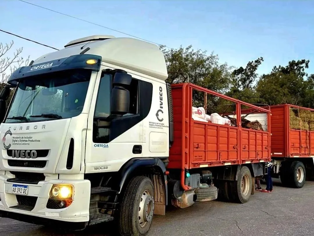 imagen_2025-08-03_174126375