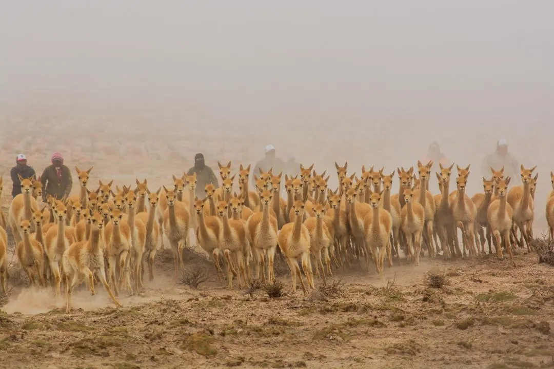 imagen_2025-04-30_212308581