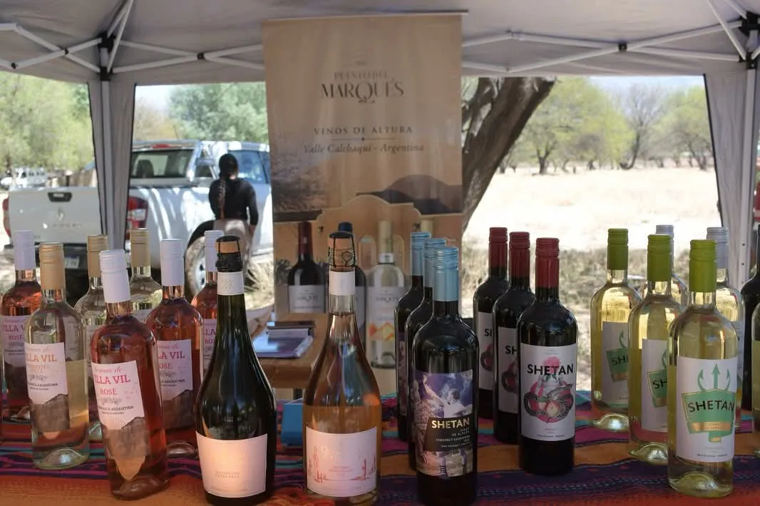 FB_IMG_1759531535228