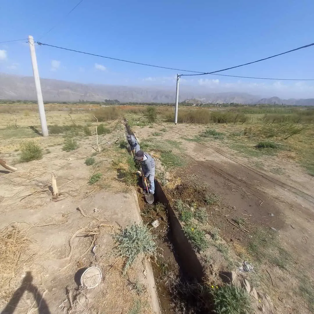 FB_IMG_1729289845587