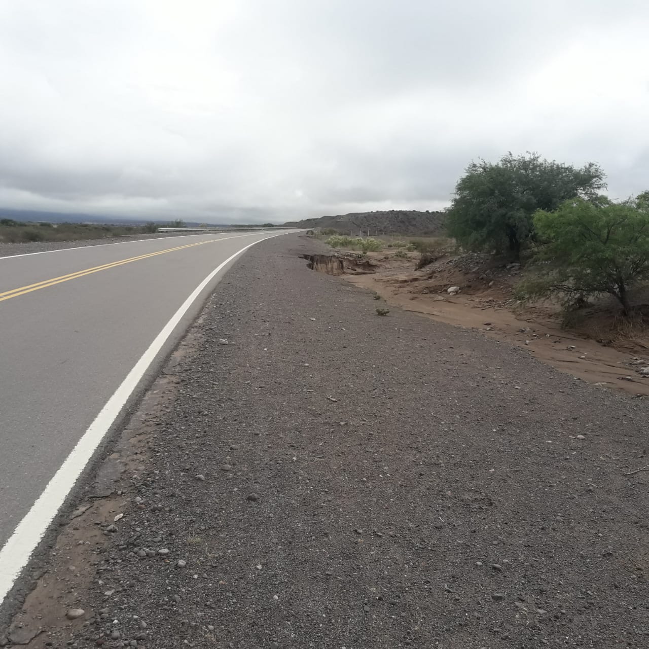 aa4bb842-244c-40a4-983a-cb86fe39e1b7