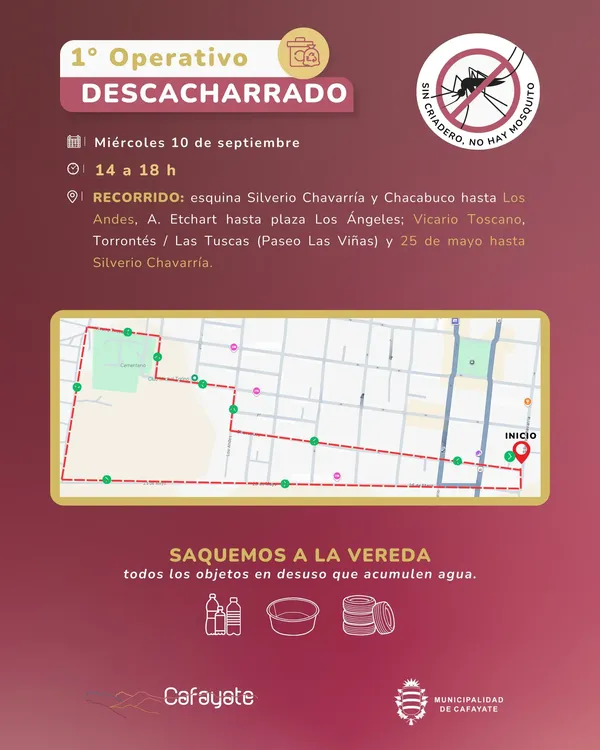 imagen_2025-09-08_221918795