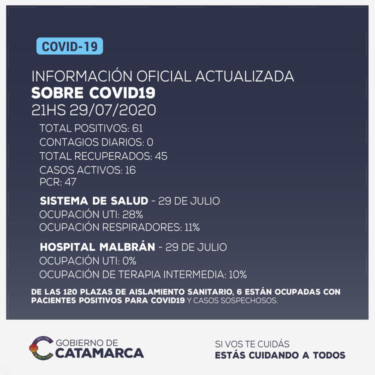Reporte Diario 29.07.20 corregido_NO COMPARTIR INFO FALSA copia