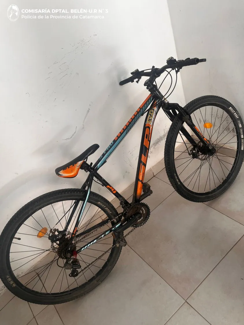 Cría_ Dptal_ Belén