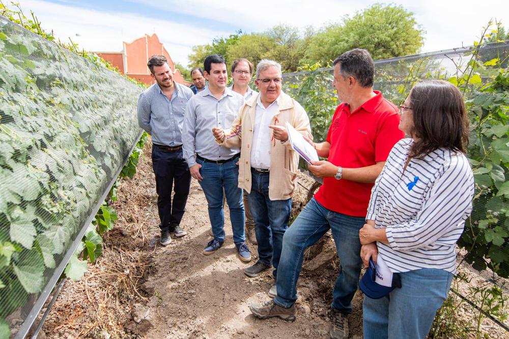 VISITA A VIÑEDOS - SANTA MARÍA